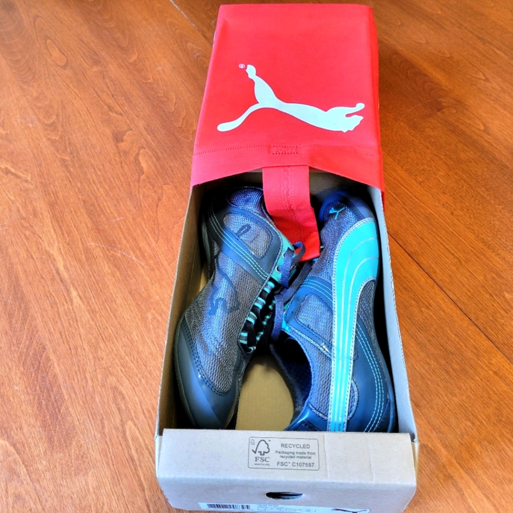 Puma Takala Steel Gray-Blue-Silver Shoes (New in Box)